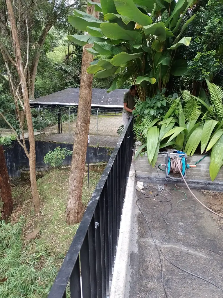 Garden patio with plants and a black railing