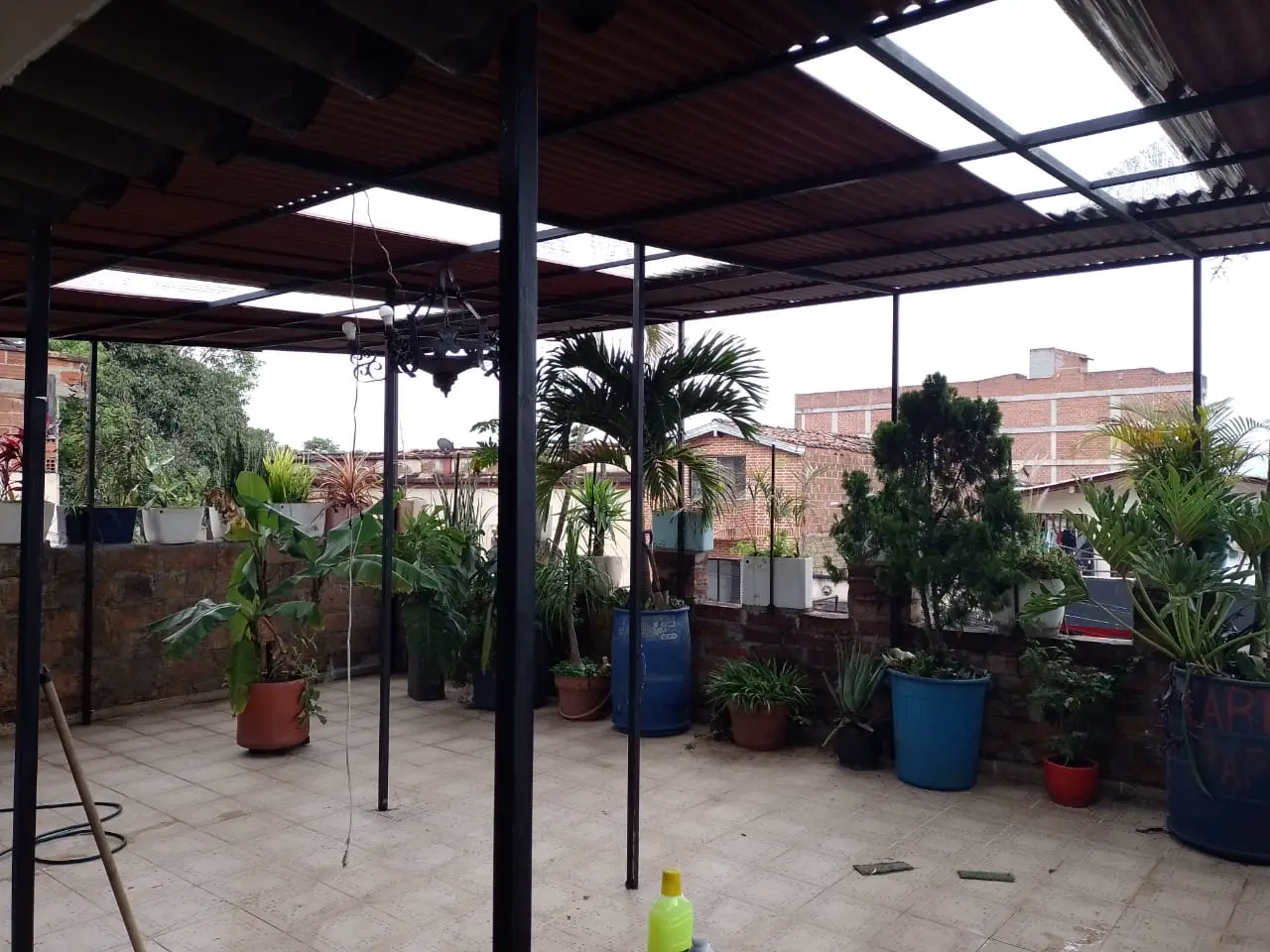 Covered patio with plants under a metal pergola
